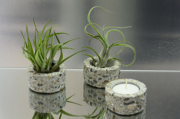 Set of 3 Round Handmade Brushed Concrete Tealight, Airplant Holders