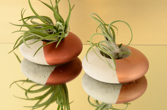 Set of 2 Handmade Round Flat Concrete Tealight, Airplant Holders  - Dark Copper and Copper