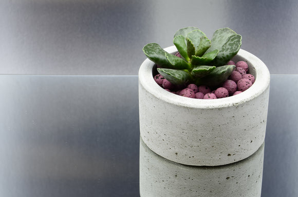 Handmade Concrete Plant Pot